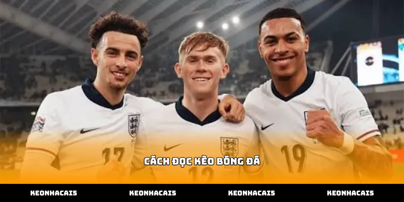 Hướng dẫn chi tiết về cách đọc kèo bóng đá cho người mới