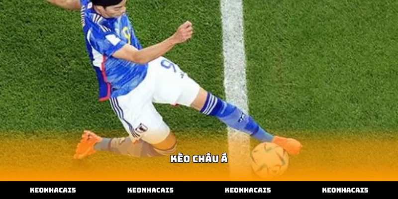 Hướng dẫn chi tiết cách đọc kèo châu á trực tuyến chuẩn nhất