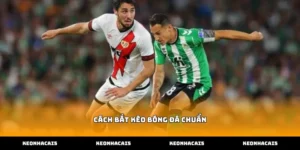 Hướng dẫn thực hiện cách bắt kèo bóng đá chuẩn dựa trên phân tích số liệu