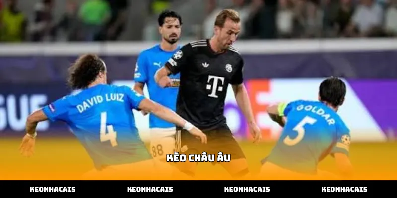 Hướng dẫn chi tiết quy trình thao tác đặt cược kèo châu âu hiệu quả
