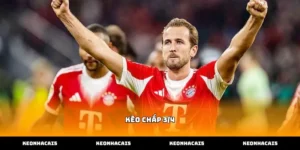 Tìm hiểu chi tiết khái niệm kèo chấp 3/4 trong cá cược bóng đá