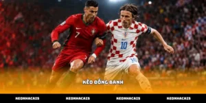 Cách nhận diện và hiểu rõ bản chất kèo đồng banh bóng đá