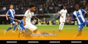 Phương pháp theo dõi biến động tỷ lệ soi kèo bóng đá